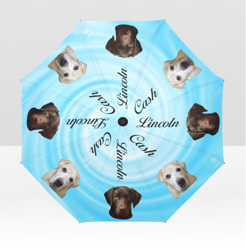 Custom Umbrella - WagALotBowWow