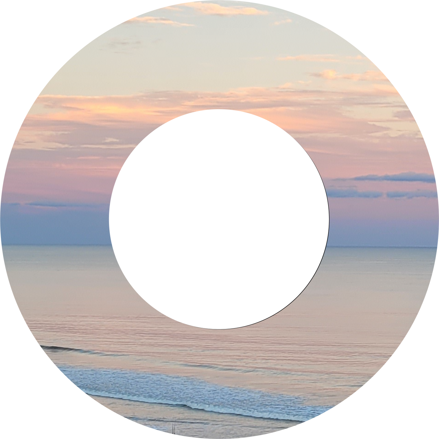 Custom Photo Wind Spinner - WagALotBowWow