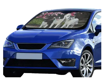 Custom Car Shade - WagALotBowWow