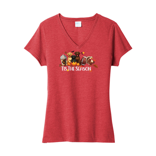 Labrador Tis The Season Fall LPC455V Port & Company ® Ladies Fan Favorite ™ Blend V-Neck Tee - WagALotBowWow