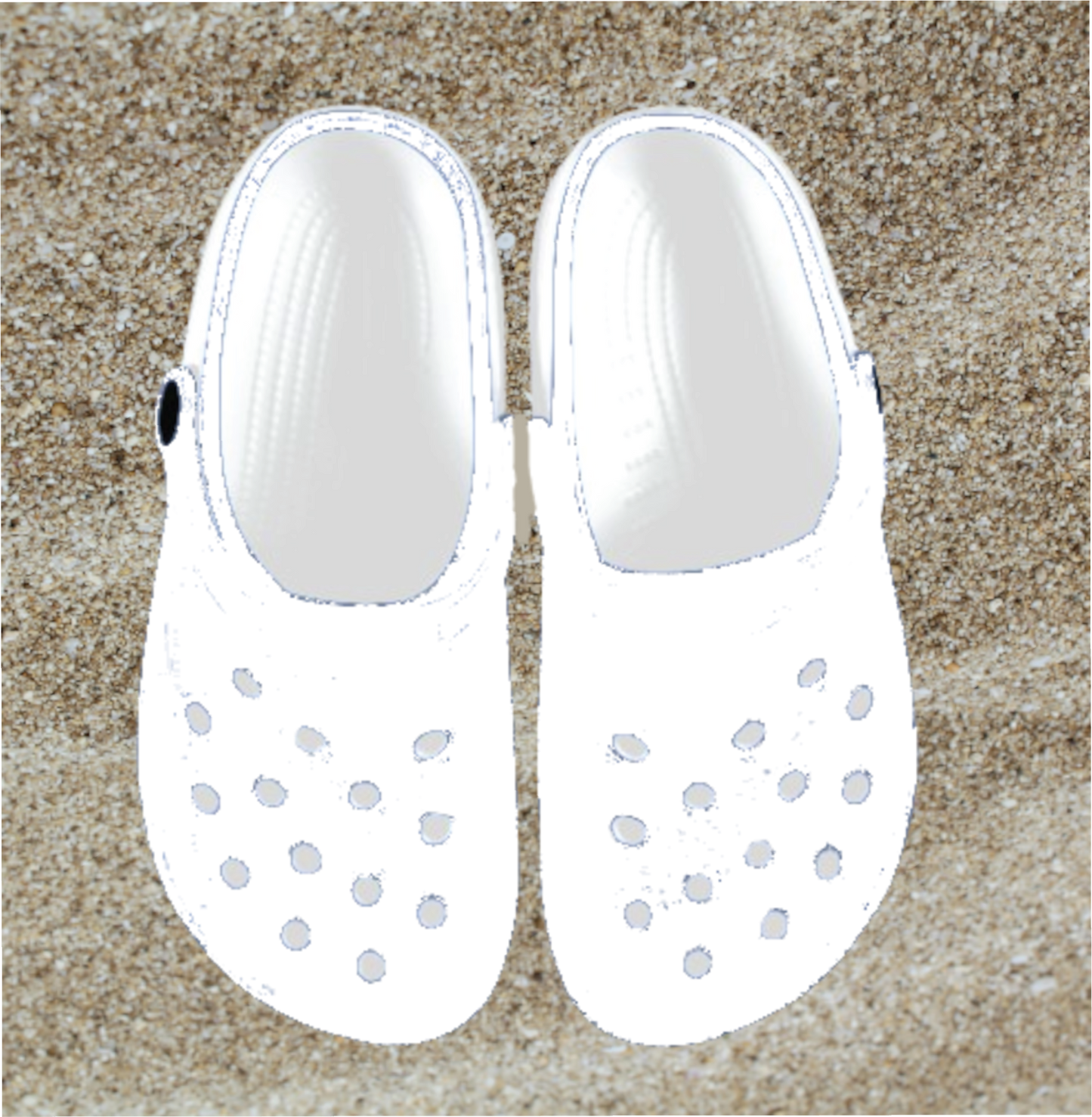 Custom Foam Clog Aduts - WagALotBowWow