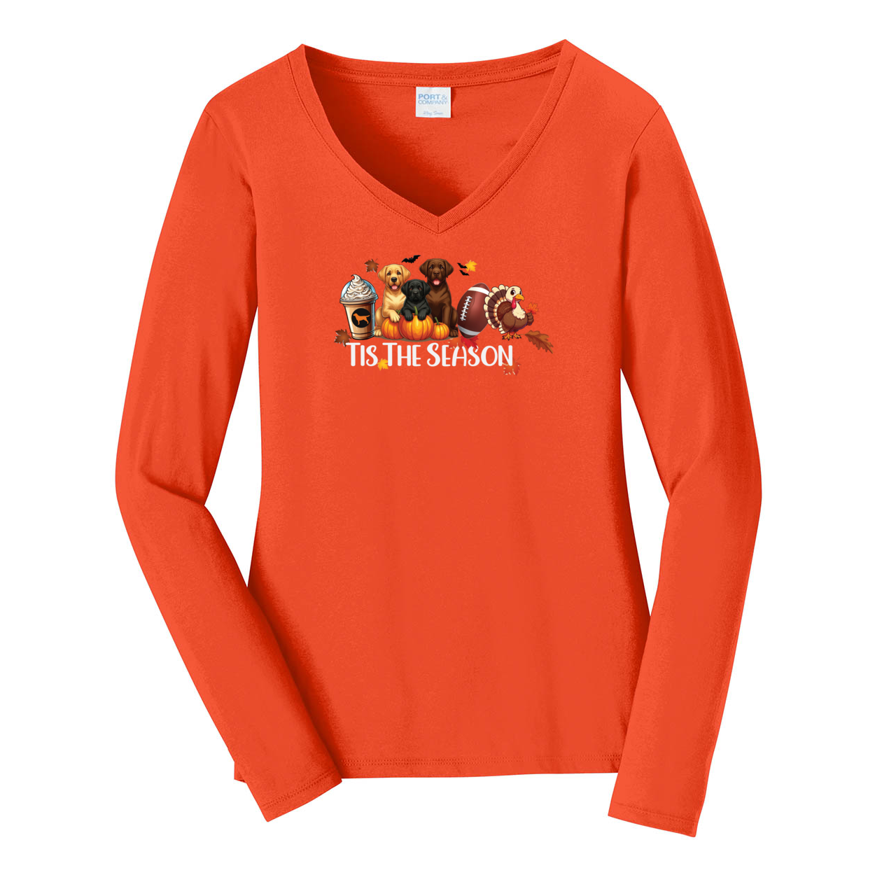 Labrador Tis The Season Turkey Port & Company® Ladies Long Sleeve Fan Favorite™ V-Neck Tee LPC450VLS - WagALotBowWow