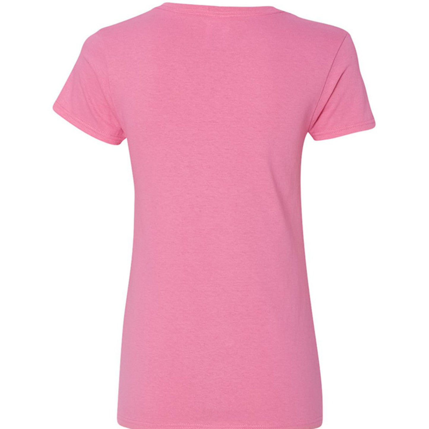 Akita Mirror - WagALotBowWow