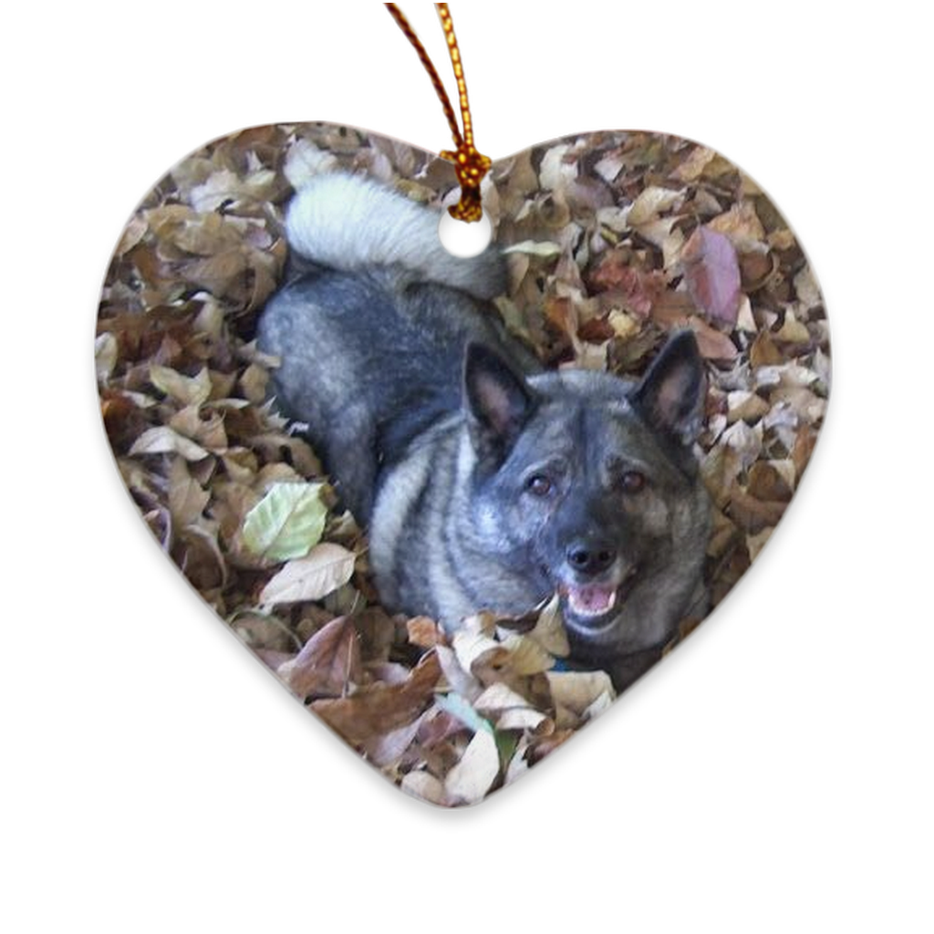 Custom Porcelain Ornaments - WagALotBowWow