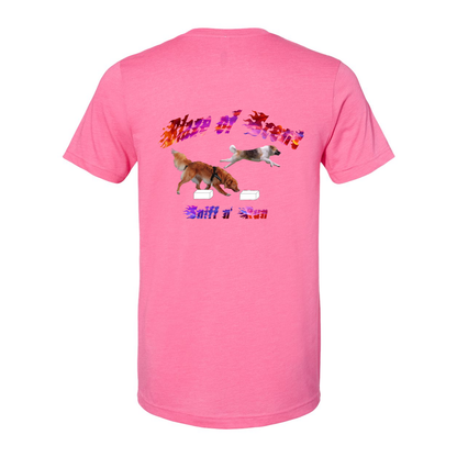 Akita Blaze of Scent 2 - WagALotBowWow