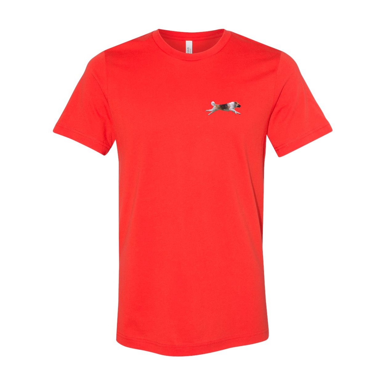 Akita Blaze of Scent 2 - WagALotBowWow