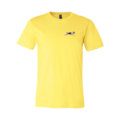 Akita Blaze of Scent 2 - WagALotBowWow