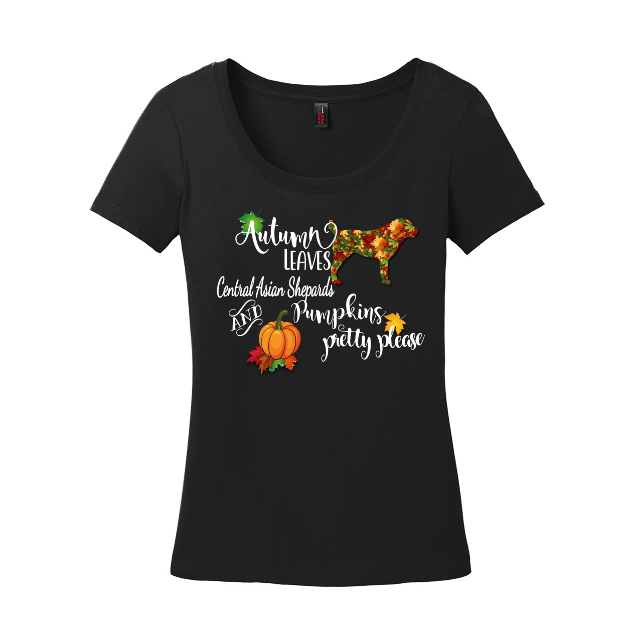 CAS Autumn Scoop Neck Tee - WagALotBowWow