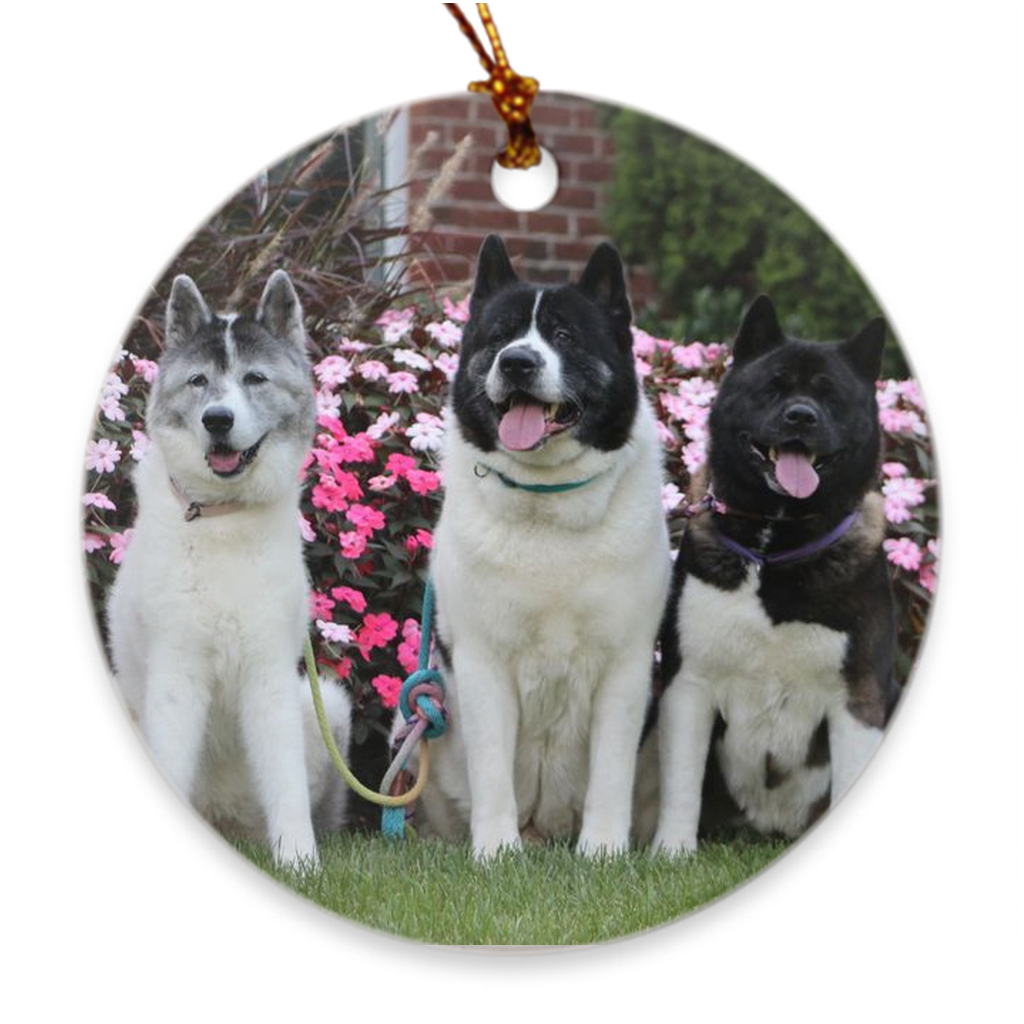 Custom Porcelain Ornaments - WagALotBowWow