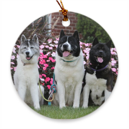 Custom Porcelain Ornaments - WagALotBowWow