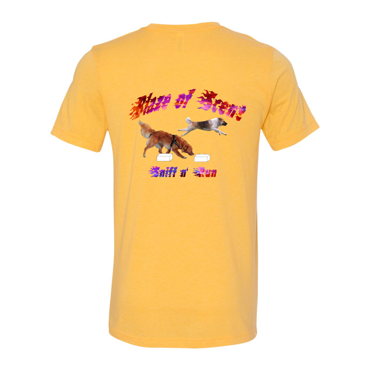 Akita Blaze of Scent 2 - WagALotBowWow