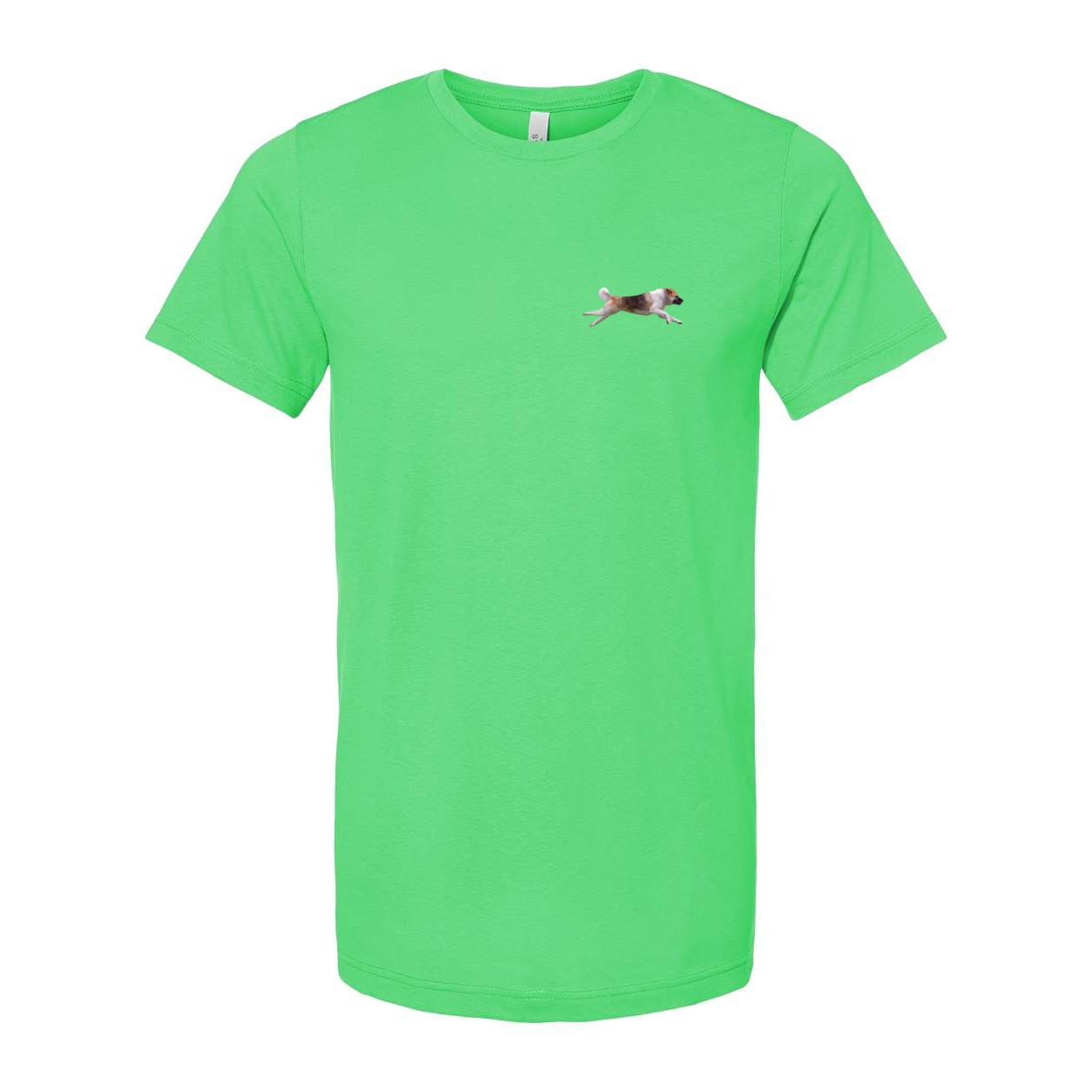 Akita Blaze of Scent 2 - WagALotBowWow