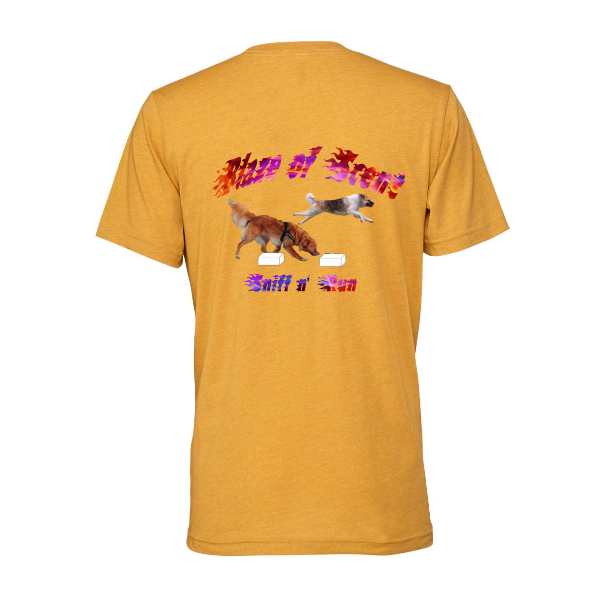 Akita Blaze of Scent 2 - WagALotBowWow