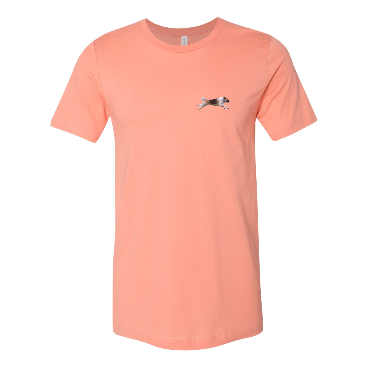 Akita Blaze of Scent 2 - WagALotBowWow