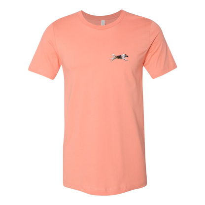 Akita Blaze of Scent 2 - WagALotBowWow