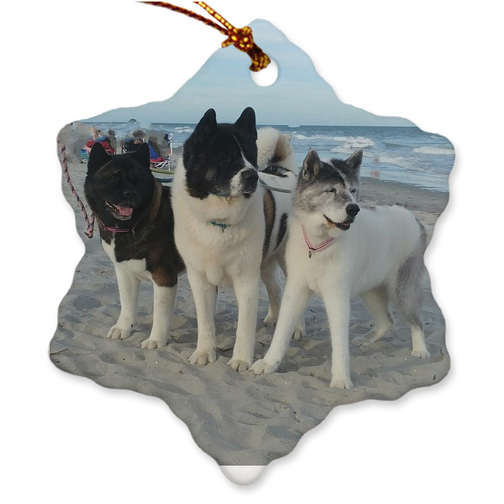 Custom Porcelain Ornaments - WagALotBowWow