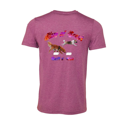 Akita Blaze of Scent 2 - WagALotBowWow