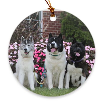Custom Porcelain Ornaments - WagALotBowWow