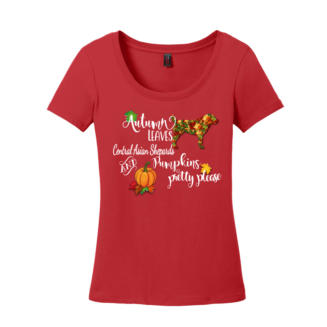 CAS Autumn Scoop Neck Tee - WagALotBowWow