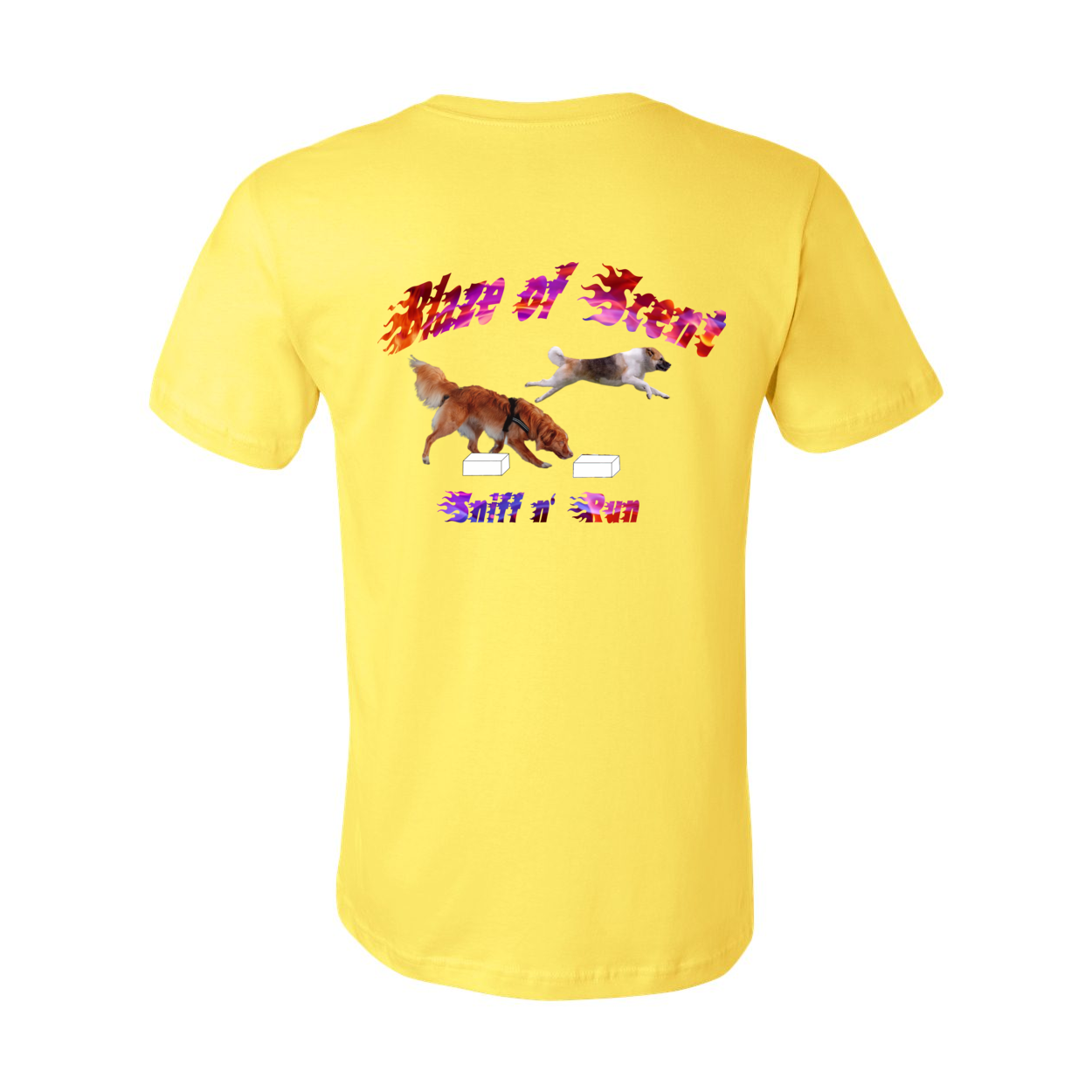 Akita Blaze of Scent 2 - WagALotBowWow