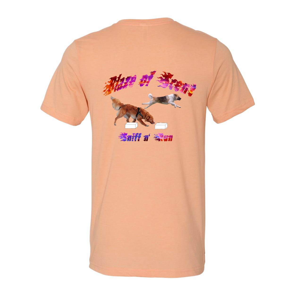 Akita Blaze of Scent 2 - WagALotBowWow