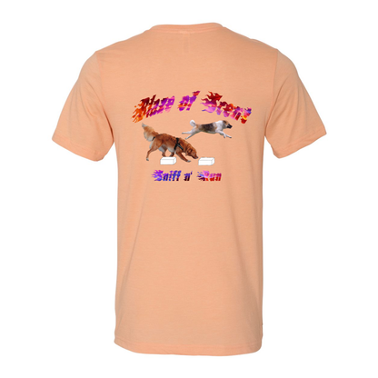 Akita Blaze of Scent 2 - WagALotBowWow