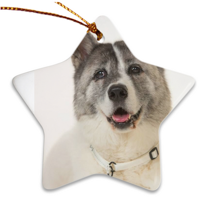 Custom Porcelain Ornaments - WagALotBowWow