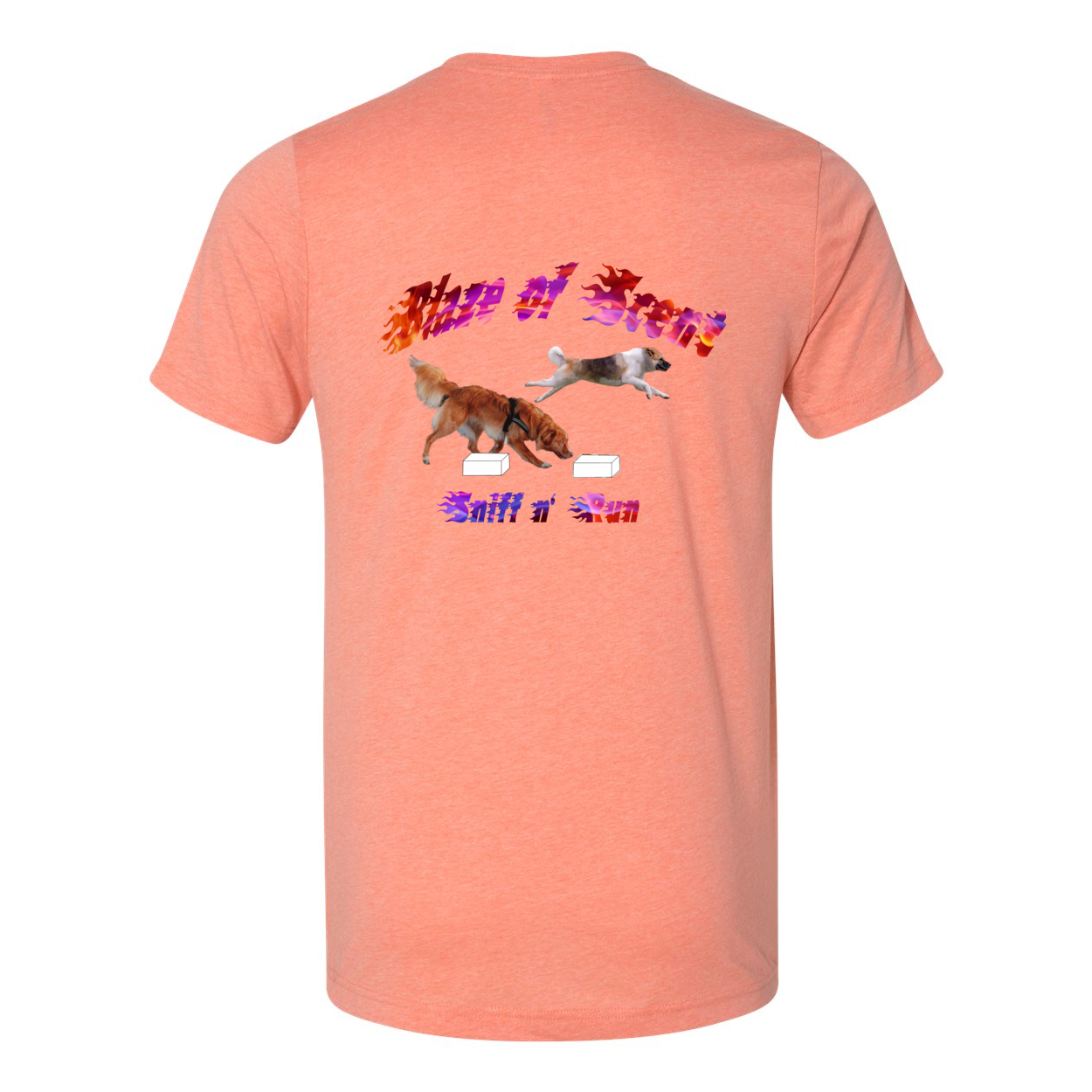 Akita Blaze of Scent 2 - WagALotBowWow