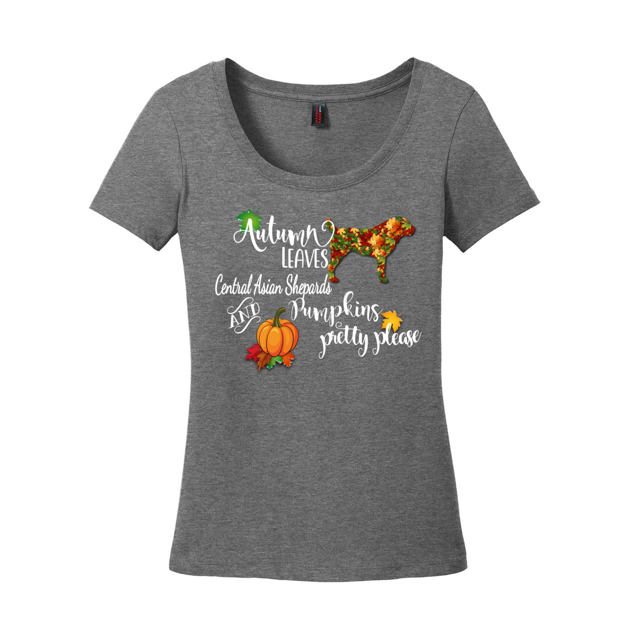 CAS Autumn Scoop Neck Tee - WagALotBowWow