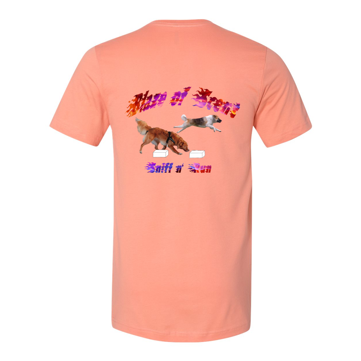 Akita Blaze of Scent 2 - WagALotBowWow