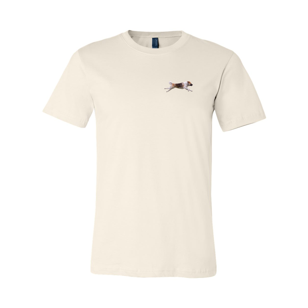 Akita Blaze of Scent 2 - WagALotBowWow