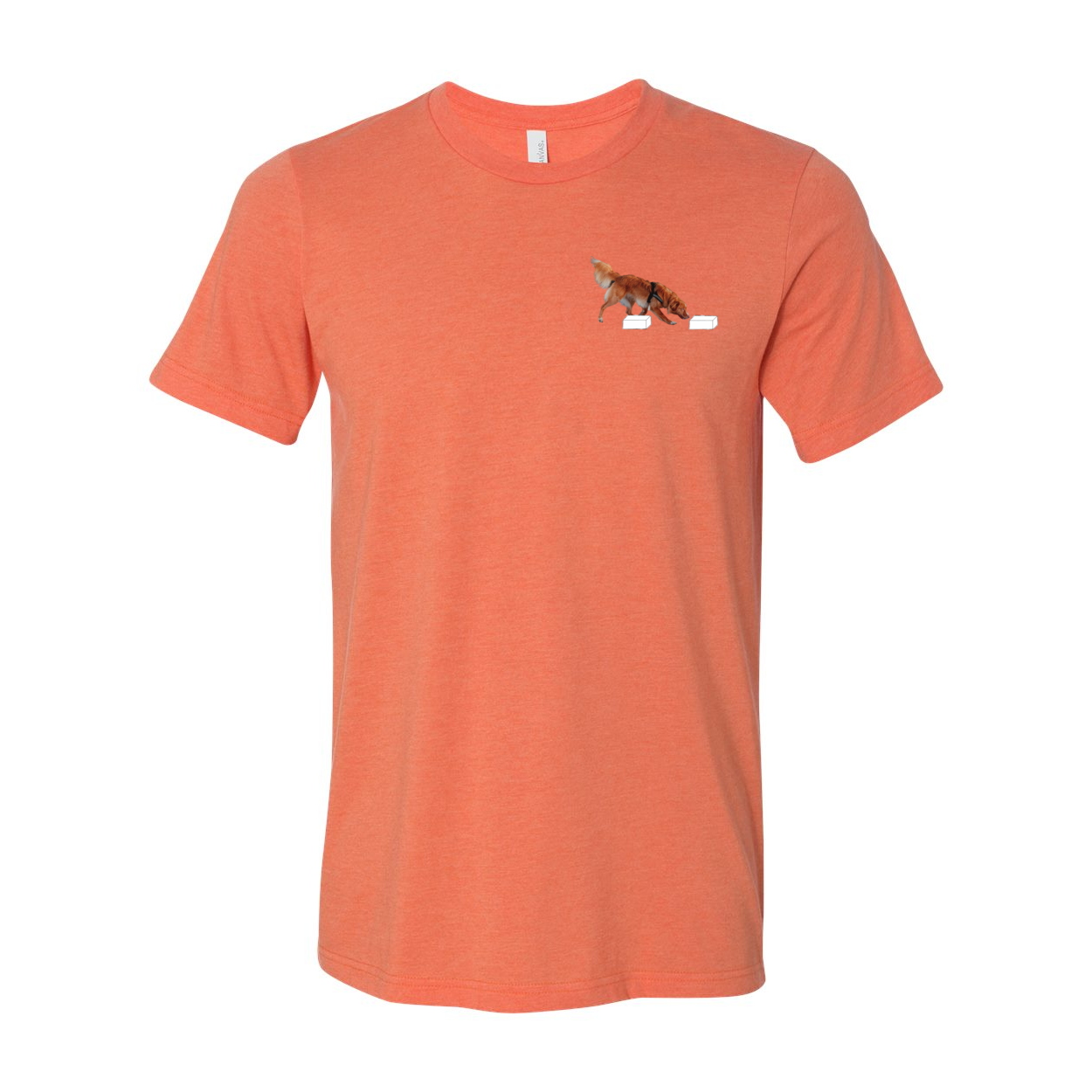 River Blaze of Scent - WagALotBowWow