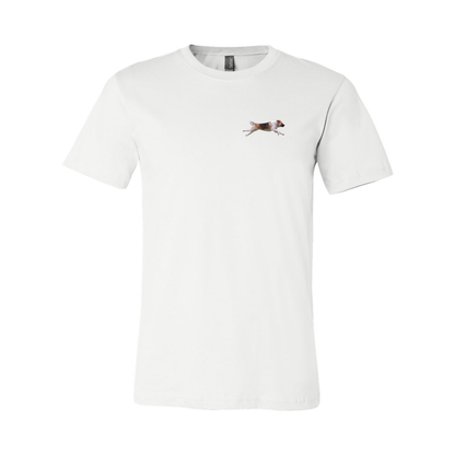 Akita Blaze of Scent 2 - WagALotBowWow