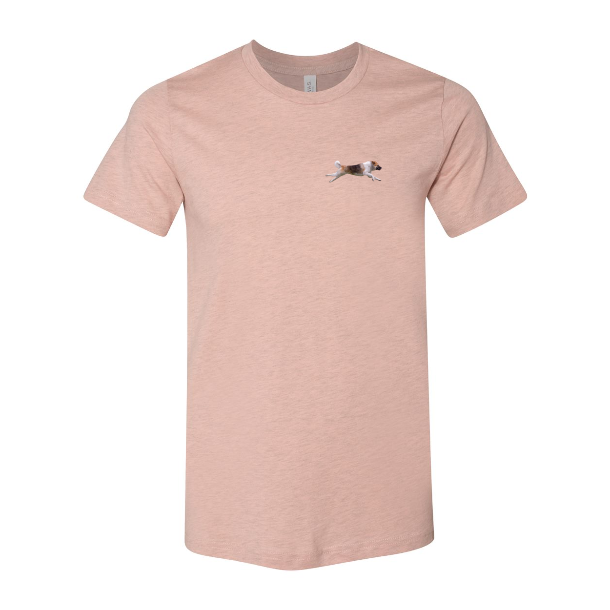 Akita Blaze of Scent 2 - WagALotBowWow