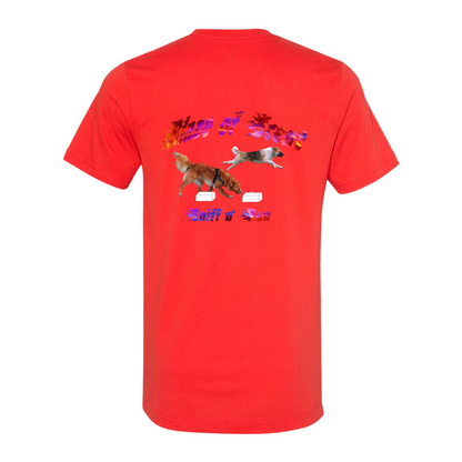 Akita Blaze of Scent 2 - WagALotBowWow