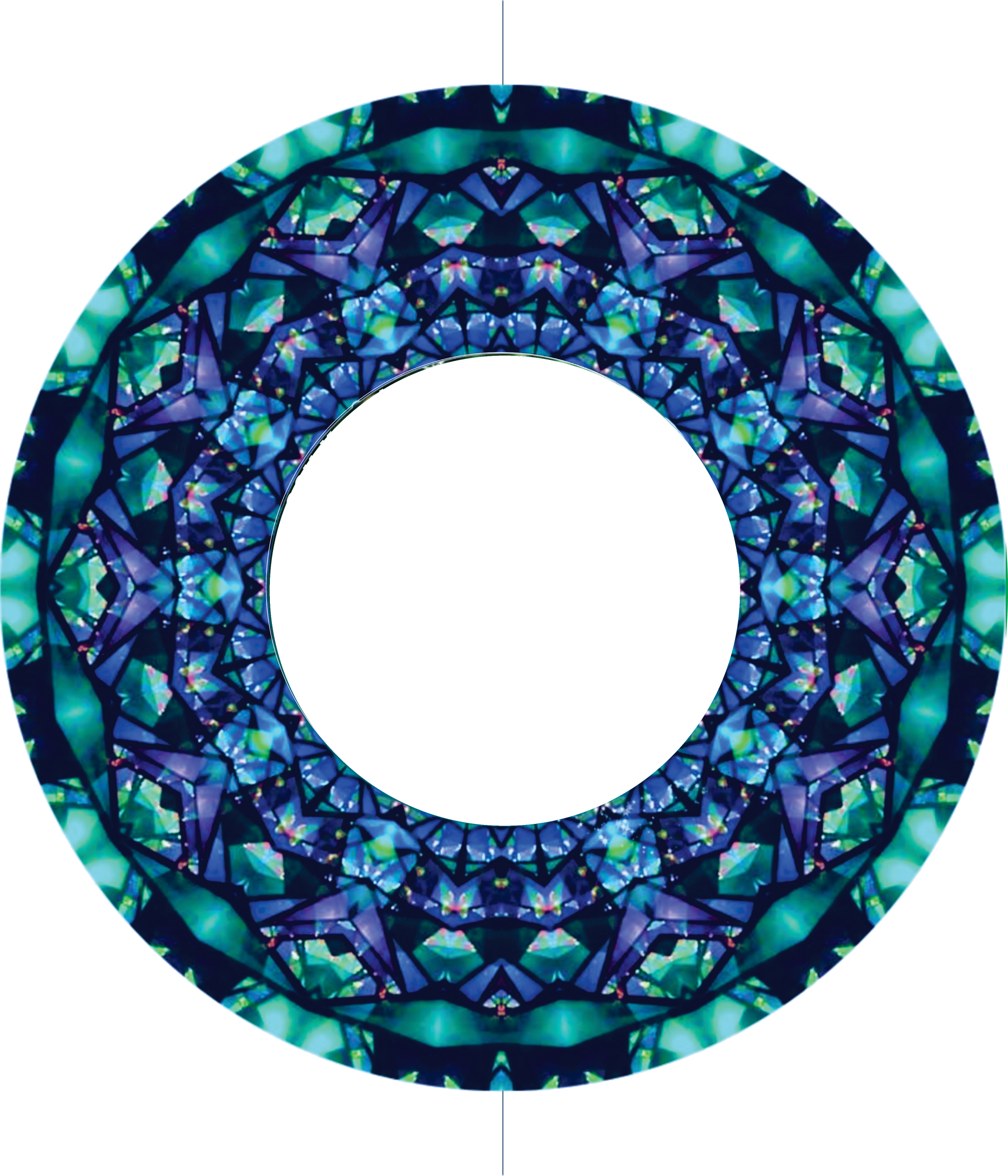 Custom Photo Wind Spinner - WagALotBowWow