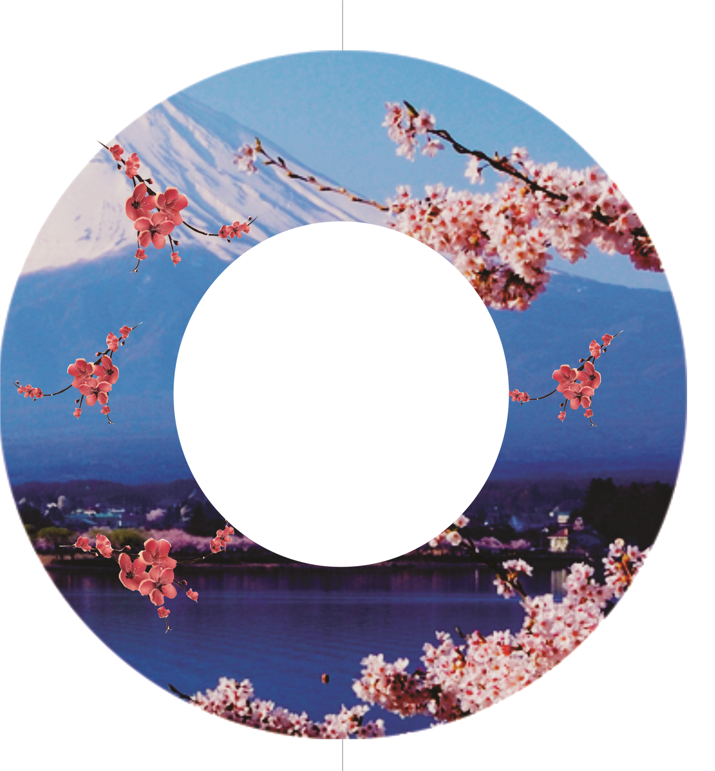 Custom Photo Wind Spinner - WagALotBowWow