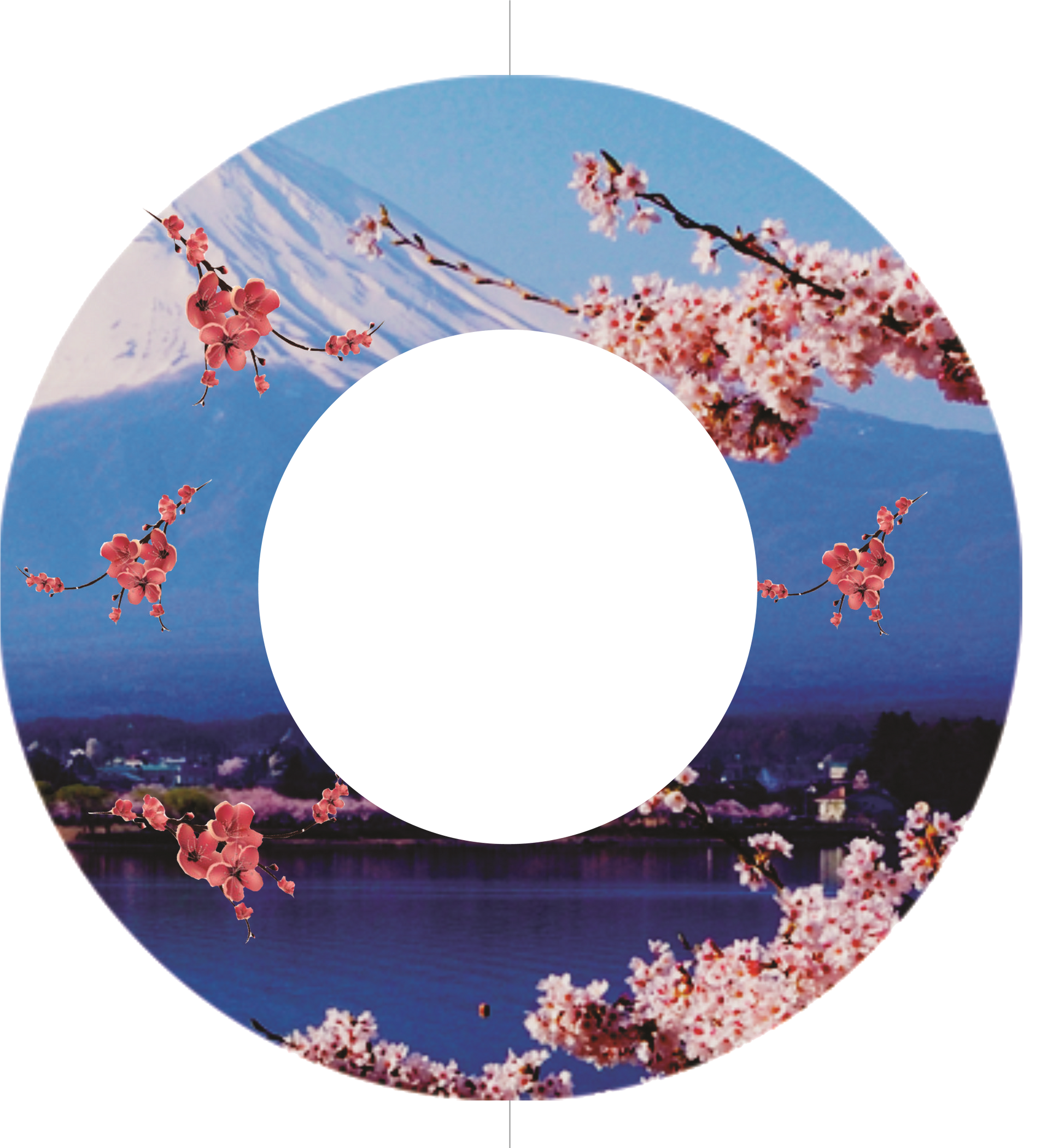 Custom Photo Wind Spinner - WagALotBowWow