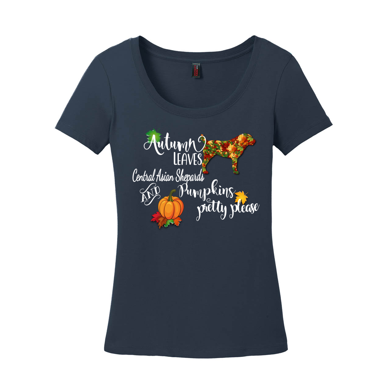 CAS Autumn Scoop Neck Tee - WagALotBowWow