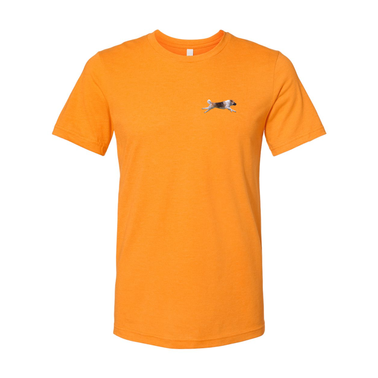 Akita Blaze of Scent 2 - WagALotBowWow