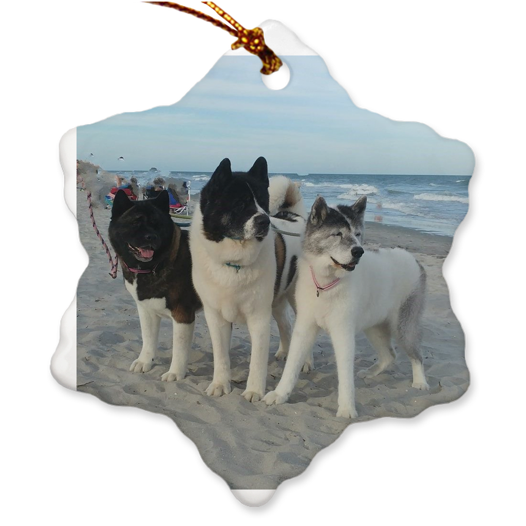 Custom Porcelain Ornaments - WagALotBowWow