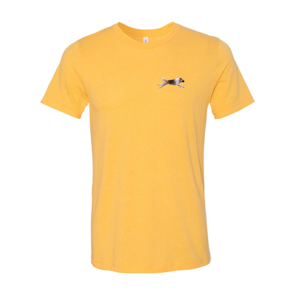 Akita Blaze of Scent 2 - WagALotBowWow