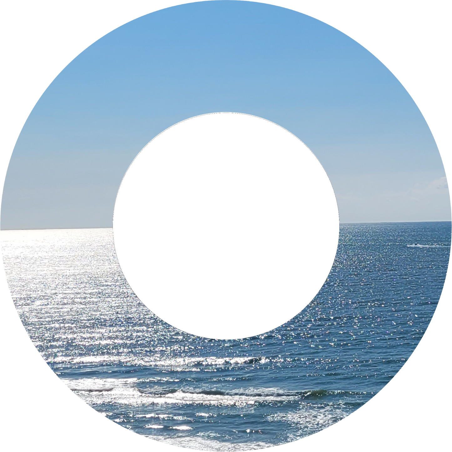 Custom Photo Wind Spinner - WagALotBowWow