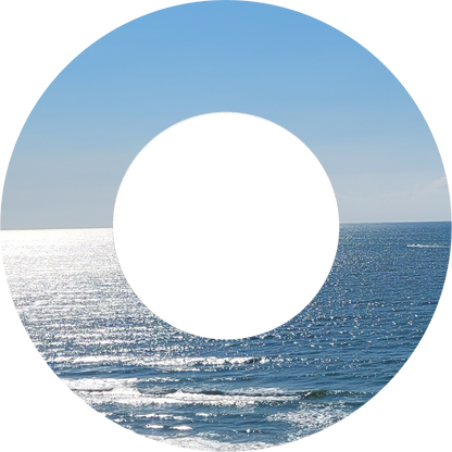 Custom Photo Wind Spinner - WagALotBowWow