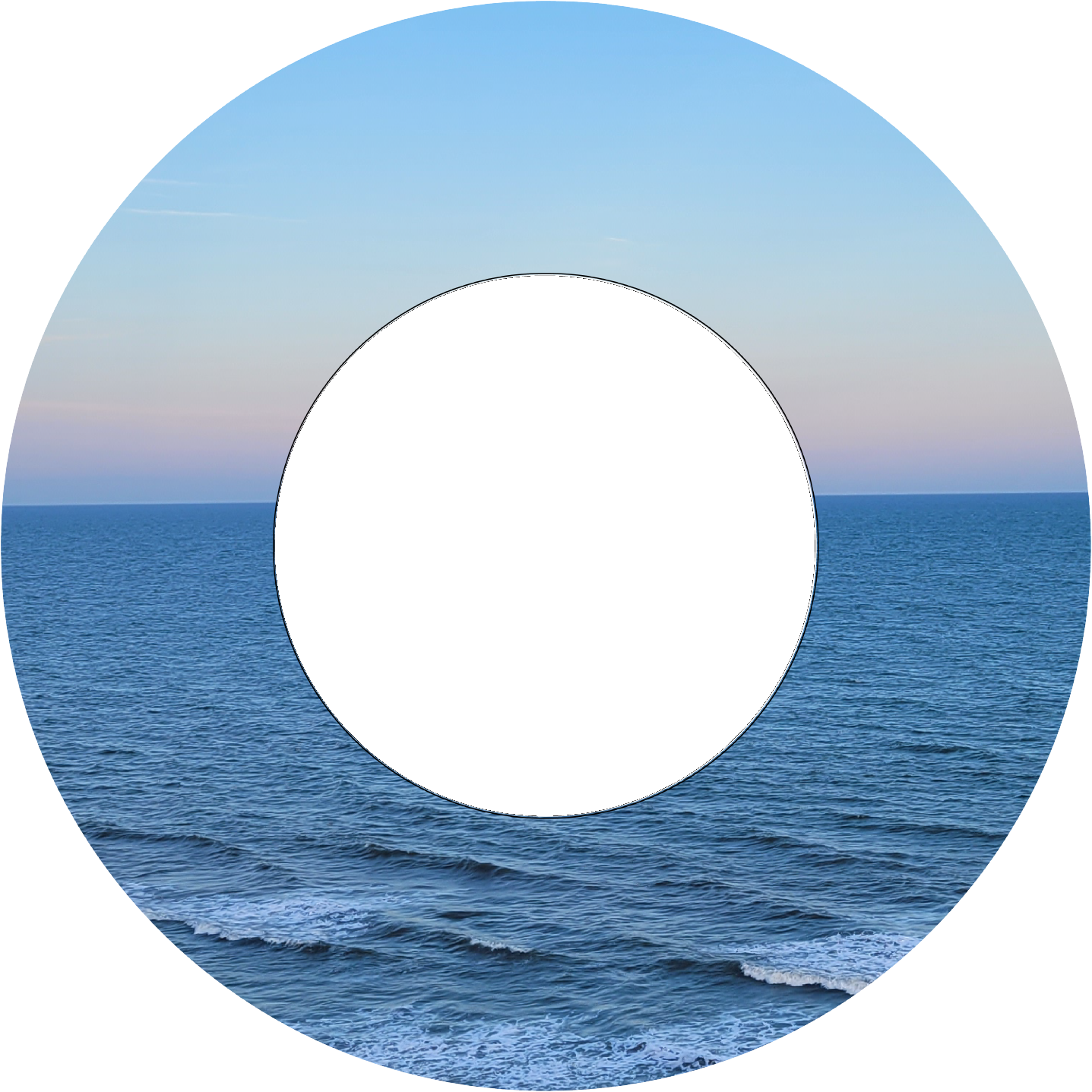 Custom Photo Wind Spinner - WagALotBowWow