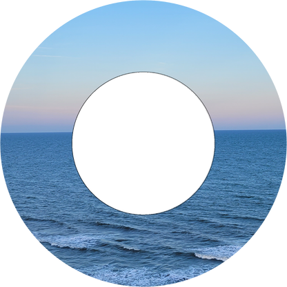 Custom Photo Wind Spinner - WagALotBowWow