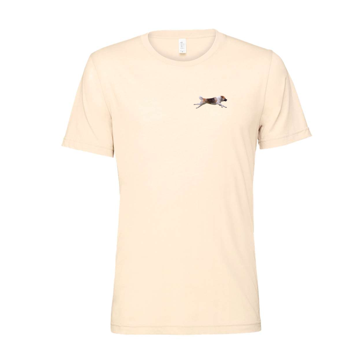 Akita Blaze of Scent 2 - WagALotBowWow