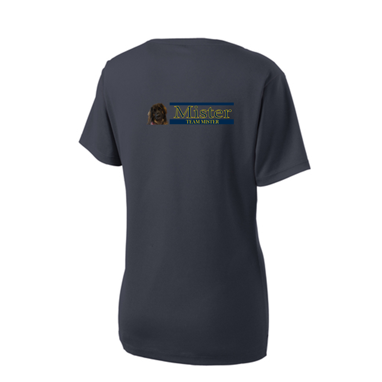 Orlando Shirt2 LST340 Sport-Tek® Ladies V - WagALotBowWow