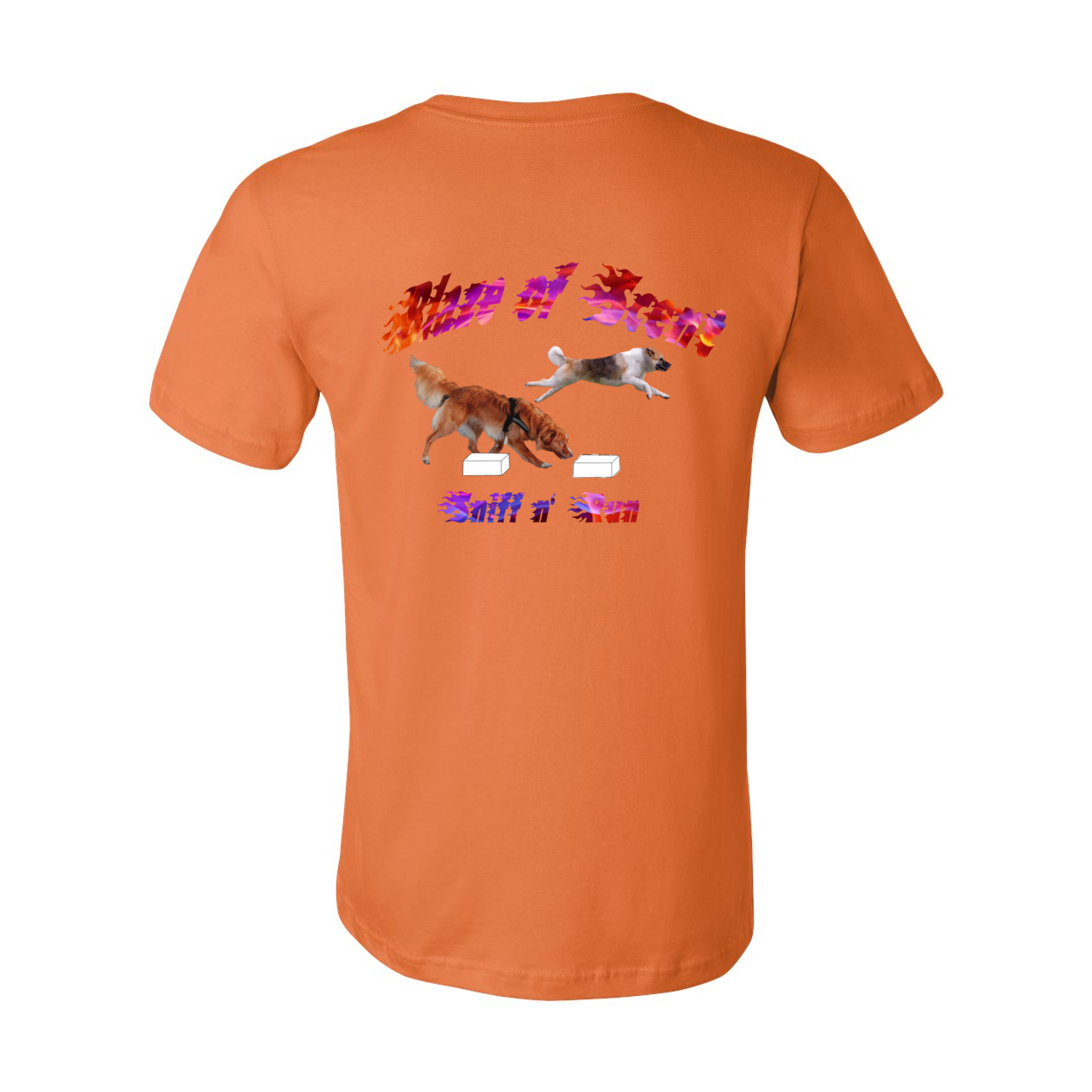 Akita Blaze of Scent 2 - WagALotBowWow