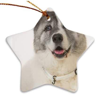 Custom Porcelain Ornaments - WagALotBowWow
